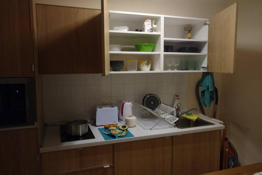 Marvelous Apartment In The Center Of Praha Bagian luar foto